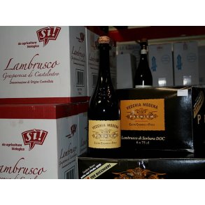 2024 Vecchia Modena Premium Lambrusco di Sorbara Secco DOC  Chiarli 1860  164 R FORUD10