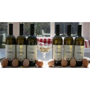 TESTKASSE Edmund Mach SAN MICHELE testkasse med  6 hvide TEST25 MIN25