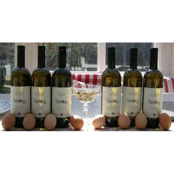 2022 Chardonnay Trentino DOC San Michele  hvid MACH26 BN25