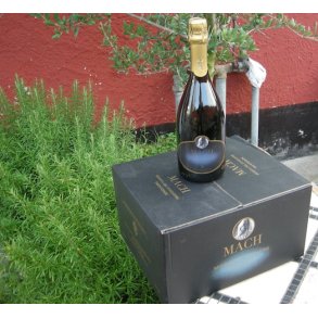 2019  Edmund Mach Riserva Fondatore Trento DOC Metodo Classico San Michele fUGI25