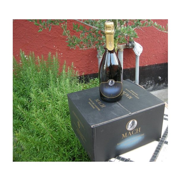 2019  Edmund Mach Riserva Fondatore Trento DOC Metodo Classico San Michele forud27