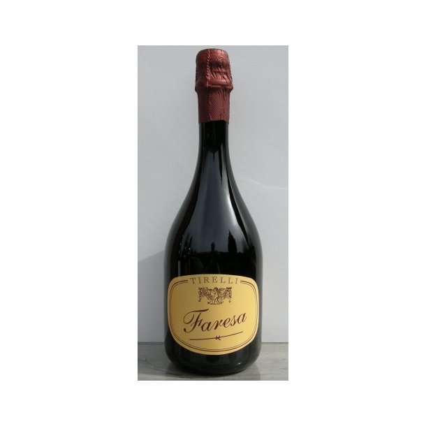 2022 Faresa Lambrusco IgT Amabile, Tirelli GUAL24 FORUD25