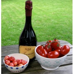 2022 Faresa Lambrusco IgT Amabile, Tirelli GUAL24 FORUD25