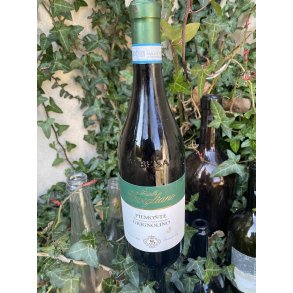 2025 Grignolino Piemonte DOC Fratelli Savigliano FORUD27 AV50