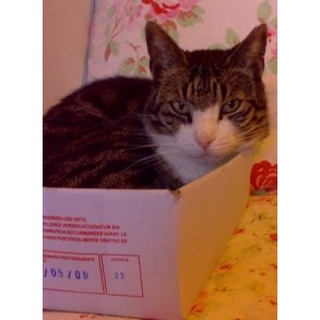 LYKKEKASSE  20E BN25