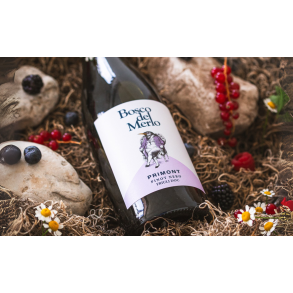 2024 PRIMONT Pinot Nero Friuli DOC Paladin GAM267