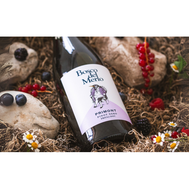 2024 PRIMONT Pinot Nero Friuli DOC Paladin GAM267