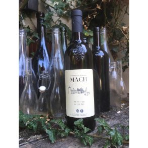 2023 Riesling  Renano Trentino DOC San Michele MACH27 MIN25