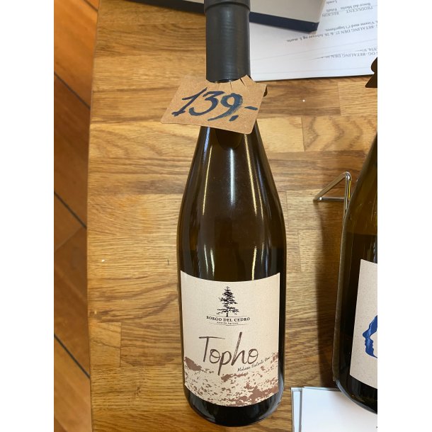 2025 "TOPHO" Malvasia Puntinata Roma DOC Borgo del Cedro FJEND26