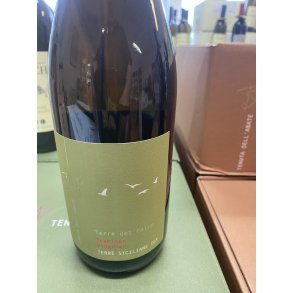 2024 Traminer-Viognier Terre Siciliane, Abate LISS25