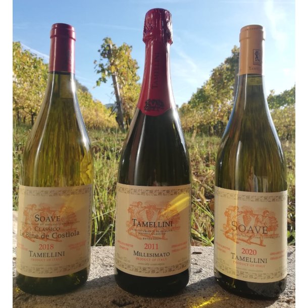  2023 Metodo Classico Extra Brut, Tamellini FORUD4142