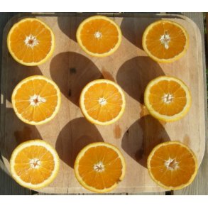 Gavekort til 1.000,- kr.