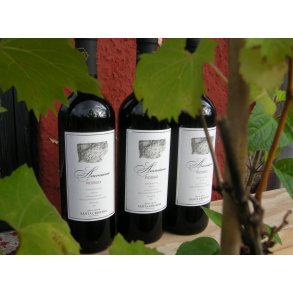 2010 Ammiana Rosso del Veneto IgT, Santa Cristina C&V 