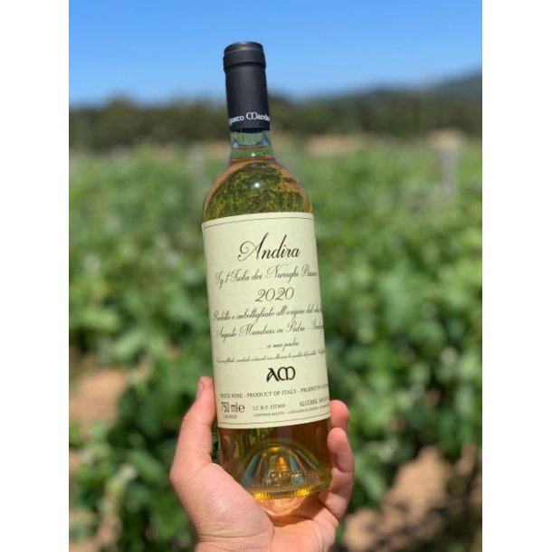 2023/2024 ANDIRA Vermentino Macerato Isola dei Nuraghi IgT, Cantina augusto Mandras, Padru SC26