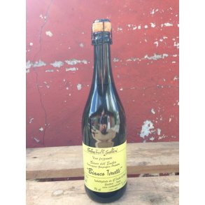 2024 Bianco Tirelli, Emilia IgT, Tirelli GUAL24 FORUD25