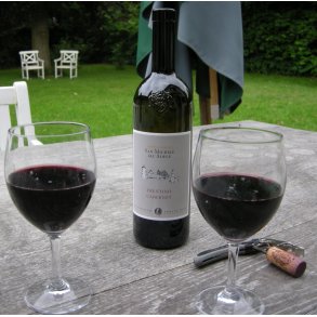 2021 Cabernet Sauvignon Trentino DOC, San Michele BN25