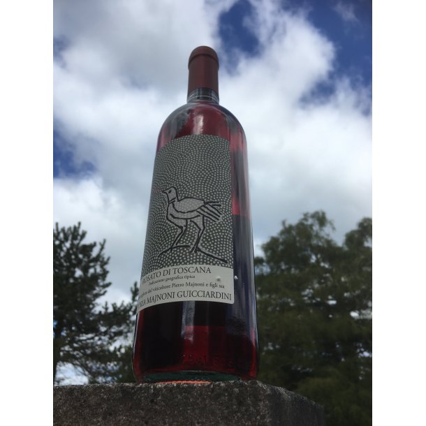 2021 Ciliegiolo Rosato Toscana IgT Pietro Majnoni kologisk MG24