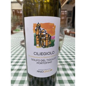 2023 Ciliegiolo Portofino DOC Pino Gino J52 LIGU245 BOS25