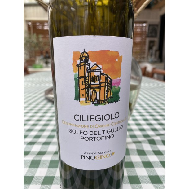 2023 Ciliegiolo Portofino DOC Pino Gino J52 LIGU245