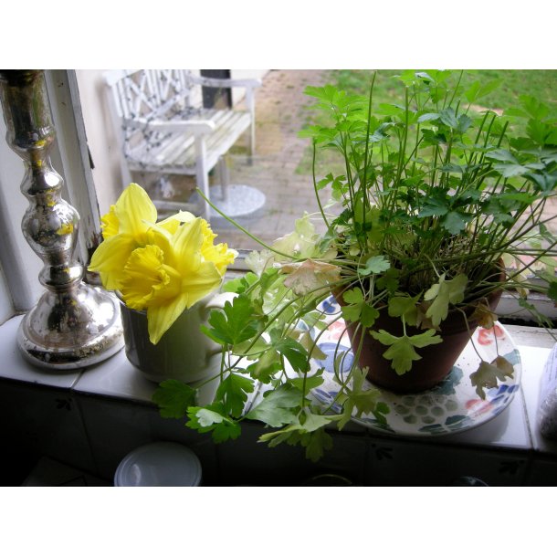 P�SKE 2026: atten forslag