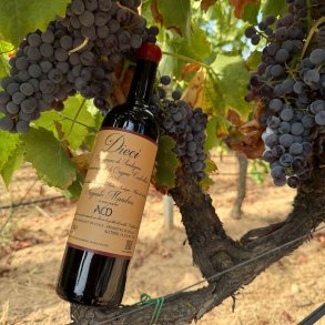 2022 DIECI Cannonau di Sardegna DOC Cantina Augusto Mandras, Padru SC26