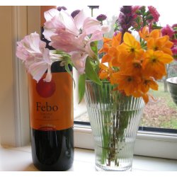 2019 Febo Merlot Toscana IgT, Sorbaiano AV50