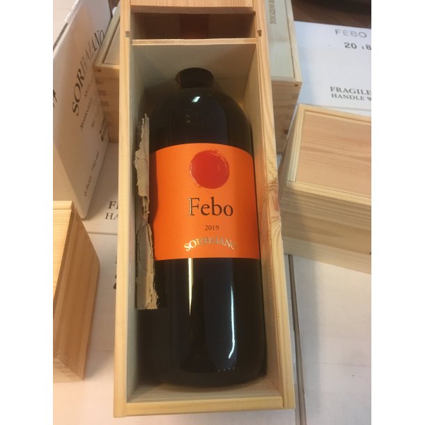 2019 Febo Merlot Toscana IgT, MAGNUM Sorbaiano GOT25