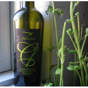 2023 Fiano IgT Campania, Terranera BN25