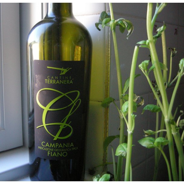 2023 Fiano IgT Campania, Terranera BN25