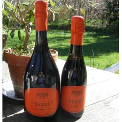 2024 STOPAI Lambrusco dell'Emilia IgT, Tirelli GUAL24 LL09