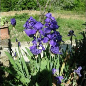 Gavekort til 500,- kr.