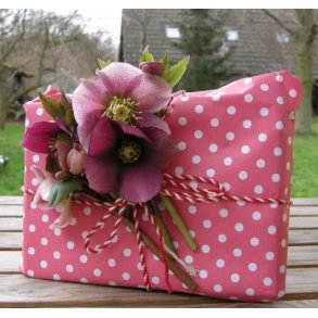 Gavekort til 250,- kr.