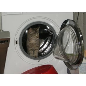 LYKKEKASSEN aka KATTEN I S�KKEN RYD27K