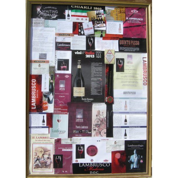 "REN PROPAGANDA": 6 forskellige LAMBRUSCO