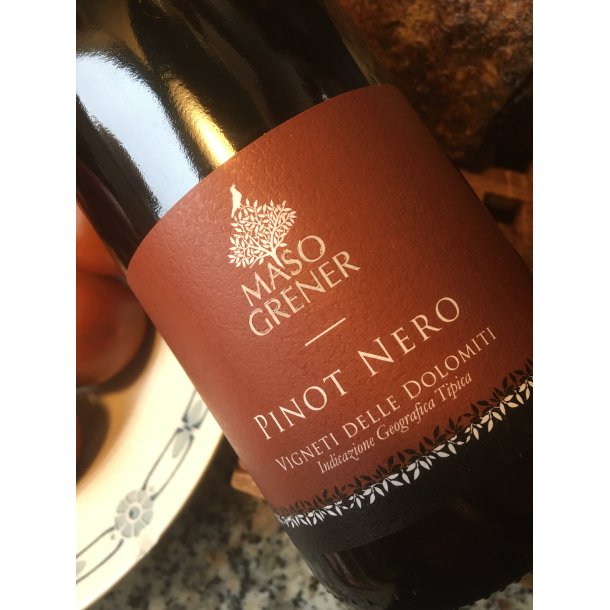 2023 Pinot Nero IgT Dolomiti, Maso Grener FORUD25