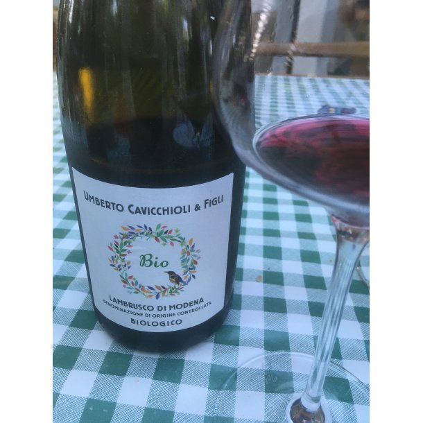 2024 Lambrusco di Modena DOC kologisk Cavicchioli