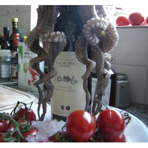 2023 Moscato Giallo Trentino Bianco DOC San Michele, MACH27