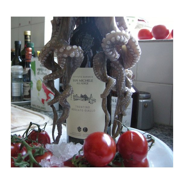 2022 Moscato Giallo Trentino Bianco DOC San Michele, FLYT24.1