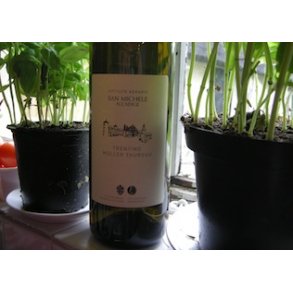 2022 Mller-Thurgau Trentino DOC San Michele MACH27