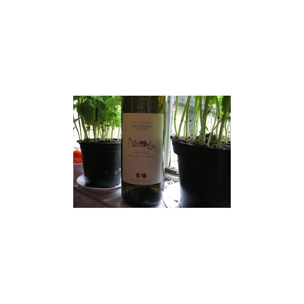2023 Mller-Thurgau Trentino DOC San Michele MACH27 MIN25