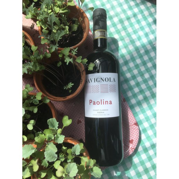 2022 PAOLINA Chianti Classico Riserva DOCG Savignola SAV27 AV50