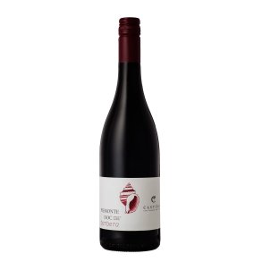 2023 Piemonte Barbera DOC I FOSSILI Castino LAHR25