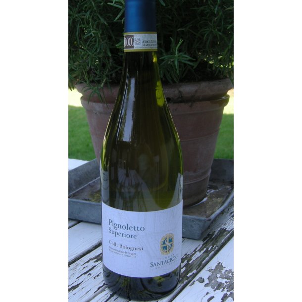 2024 Pignoletto Classico Superiore Colli Bolognesi DOCG Santa Croce Chiarli 164 R FORUD10