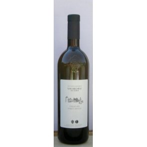  2023 Pinot Grigio Trentino DOC San Michele MACH27