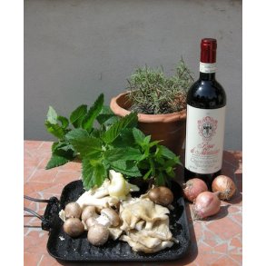 2023 Rosso di Montalcino DOC, Quercecchio UGI26 NR25