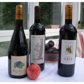 2004 MG 1,5 liter Rodel-Pianetti Pinot Nero Dolomiti IgT Pojer & Sandri