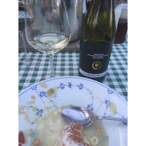 2023 Sauvignon  Piemonte DOC Franco Mondo BOS25