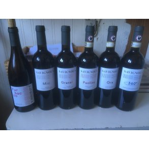 TESTKASSE SAVIGNOLA  SAV27 AV50