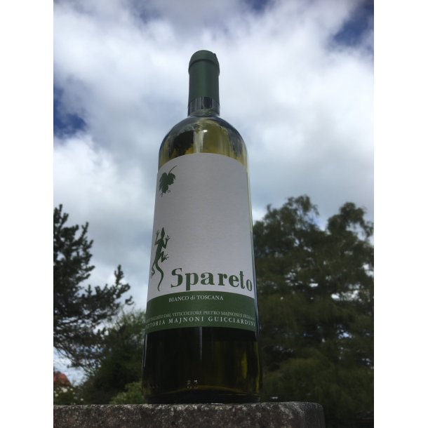 2021 Spareto Bianco Toscano IgT, Majnoni kologisk CESAR