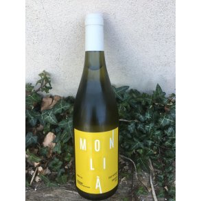 2022 Timorasso Derthona Colli Tortonesi DOC Oddero SATS25